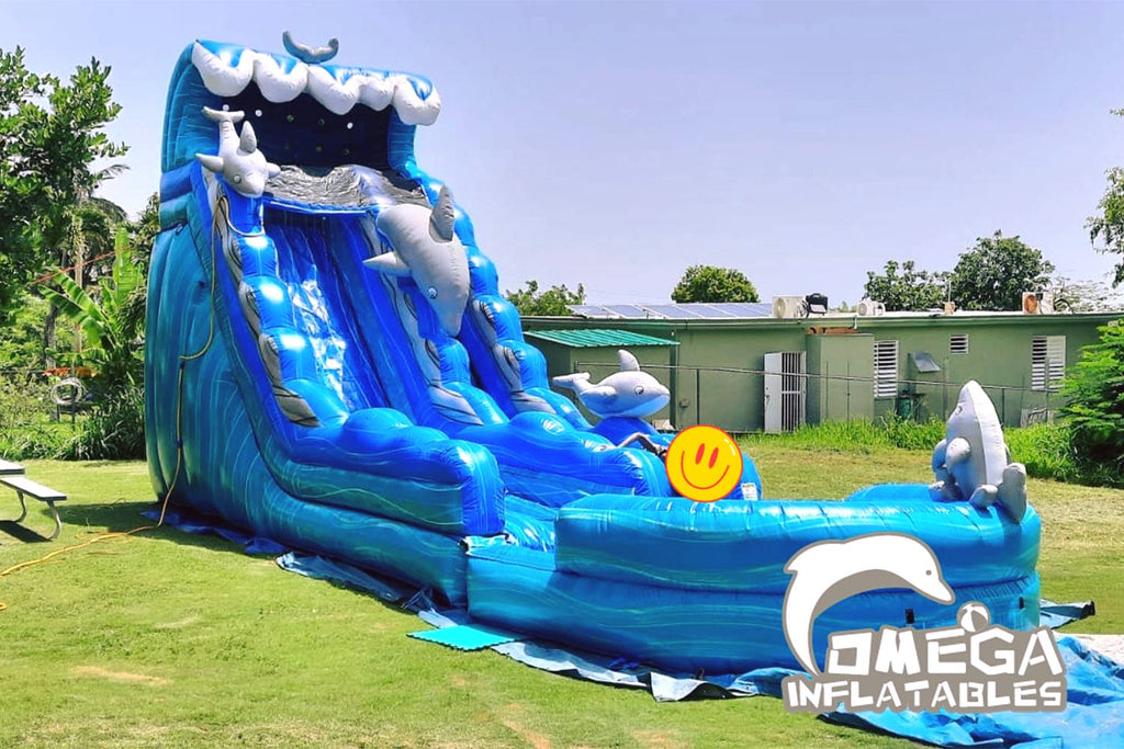 Customer Feedback - 19FT Dolphin🐬 Water Slide