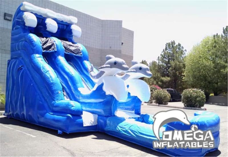 18FT Dolphin Wet Dry Slide