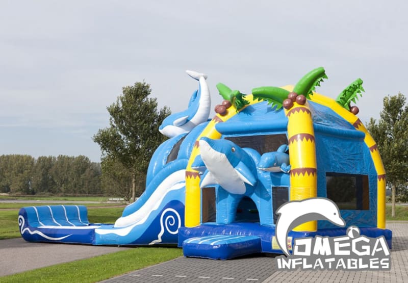 Large Inflatable Dolphin Jumper Combo